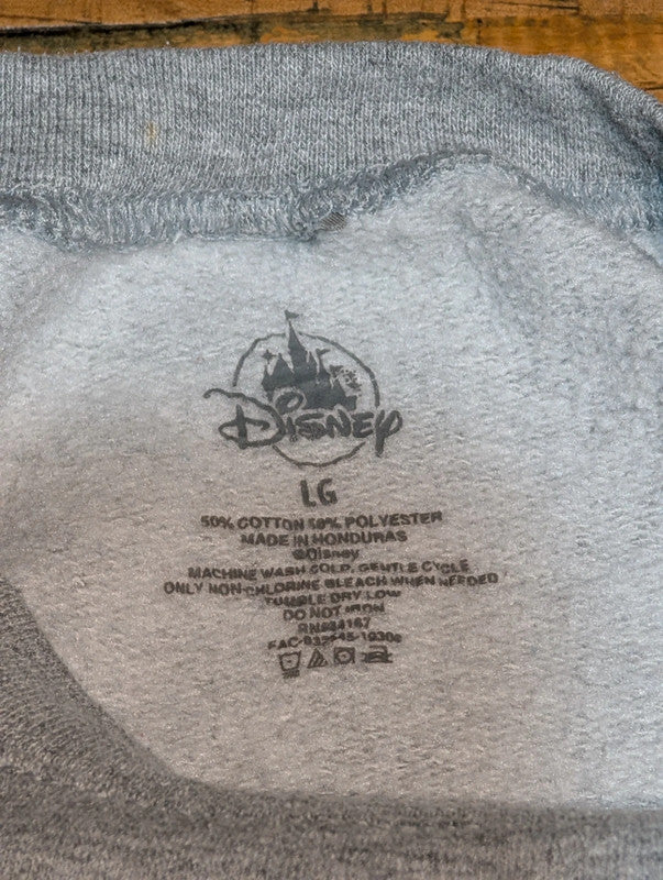 Disney Walt Disney World 2020 Jumper