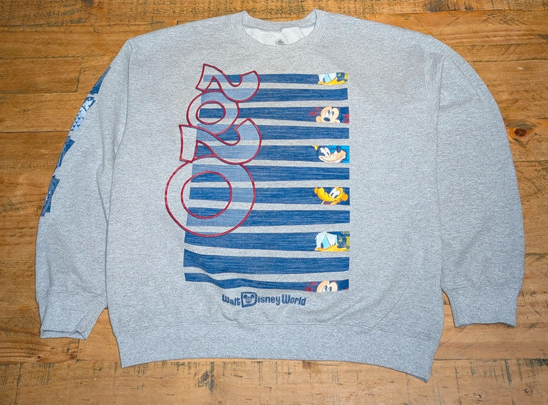 Disney Walt Disney World 2020 Jumper